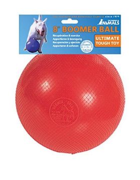 Picture of Company of Animals Boomerball 8" x 1