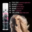 Picture of Bugalugs Baby Fresh Dry Shampoo 200ml x 1