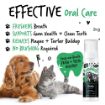 Picture of Bugalugs Dental Care Foam 200ml x 1