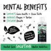 Picture of Bugalugs Dental Care Solution 250ml x 1