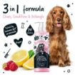 Picture of Bugalugs 3-in-1 Raspberry & Lemon Detangler Shampoo 500ml x 1