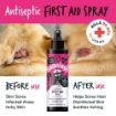 Picture of Bugalugs Antiseptic First Aid Spray 200ml x 1