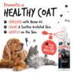Picture of Bugalugs Flea & Tick Spray for Dogs & Cats 200ml x 1