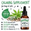 Picture of Bugalugs Organic Hemp Oil 50ml x 1