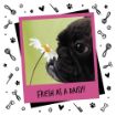 Picture of Bugalugs One in a Million Cologne 200ml x 1