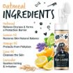Picture of Bugalugs Oatmeal No Rinse Paw Cleaner 200ml x 1