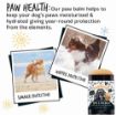 Picture of Bugalugs Nose & Paw Balm Stick 40g x 1