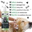 Picture of Bugalugs All-in-One Shed Control Shampoo 500ml x 1