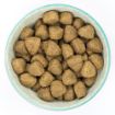 Picture of Burns Original Adult Large & Giant Dog - Chicken & Brown Rice 12kg