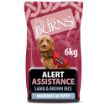 Picture of Burns Dog Alert Lamb & Brown Rice 6kg
