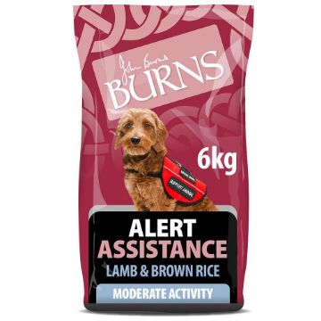 Picture of Burns Dog Alert Lamb & Brown Rice 6kg