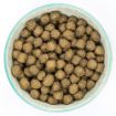 Picture of Burns Dog Alert Lamb & Brown Rice 6kg