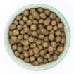 Picture of Burns 'Free From' Adult Dog Duck & Potato 6kg