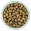 Picture of Burns 'Free From' Puppy Duck & Potato 2kg