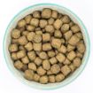 Picture of Burns Original Adult Dog Lamb & Brown Rice 2kg