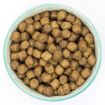 Picture of Burns Puppy Original Chicken 2kg