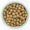 Picture of Burns Puppy Original Lamb 2kg