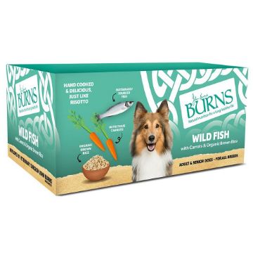 Picture of Burns Tray Adult Dog Fish 150g x 7