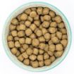 Picture of Burns Dog Weight Control 12kg