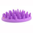 Picture of Company of Animals Catch Interactive Slow Cat Feeder x 1