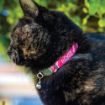 Picture of ROGZ Fusion Cat Collar Geo Pink x 1