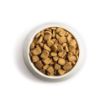 Picture of Chappie Complete - Chicken & Wholegrain 15kg