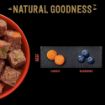 Picture of Cesar Foil Tray Natural Goodness Beef in Terrine 100g x 16