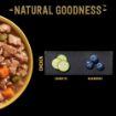 Picture of Cesar Foil Tray Natural Goodness Casserole Chicken in Gravy 100g x 16