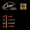 Picture of * Cesar Foil Tray Natural Goodness Mixed Selection in Loaf 100g 8pk x 3