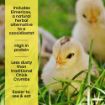 Picture of Copdock Mill Chick Micro Pellets 20kg