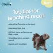 Picture of Coachi Puppy & Mini Waterproof Training Line - Teal 2.5m x 1
