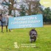 Picture of Coachi Puppy & Mini Waterproof Training Line - Teal 2.5m x 1