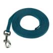 Picture of Coachi Puppy & Mini Training Line 2.5 Metre Teal x 1