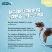 Picture of Coachi Puppy & Mini Training Line 2.5 Metre Teal x 1