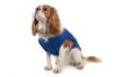 Picture of Ancol Cooling Dog Vest - X-Large 22"-26" x 1