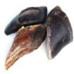 Picture of Hollings Cows Hooves - Plain (Unwrapped) x 25