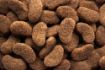 Picture of Dr John Gold Dog Food 4kg