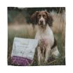Picture of Eden Dog Semi-Moist Country Feast Medium Kibble 2kg