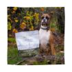 Picture of Eden Dog Semi-Moist Duck & Tripe Medium Kibble 2kg