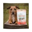 Picture of Eden Salmon, Apple & Spinach Small Sausages 10pc x 1