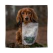 Picture of Eden Chicken & Thyme Dog Training Treats 80g x 1