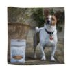 Picture of Eden Lamb & Parsley Dog Training Treats 80g x 1
