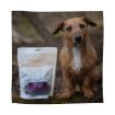 Picture of Eden Venison & Sage Dog Training Treats 80g x 1