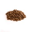 Picture of Fish4Dogs Finest Adult White Fish Small Kibble 6kg