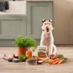 Picture of Forthglade Gourmet Dog Beef & Wild Boar with Root Veg & Apple 395g x 7
