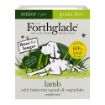 Picture of Forthglade Complete Senior Grain Free Lamb, Butternut Squash & Veg 395g x 18