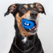 Picture of ROGZ Fred Medium Treat Ball Pink 2½" x 1