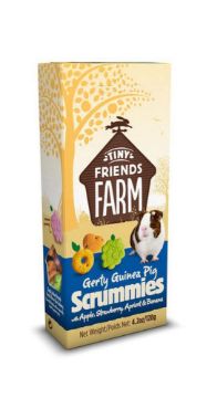 Picture of Tiny Friends Farm Gerty's Scrummies for Guinea Pigs Apple, Strawberry, Apricot & Banana 120g x 8
