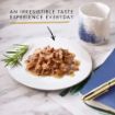 Picture of Gourmet Perle Pouch Delights Collection in Gravy 85g 40-Pack x 1
