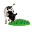 Picture of Company of Animals Green Interactive Feeder x 1